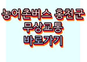 농어촌버스 홍천군 무상교통 노선 안내 바로가기