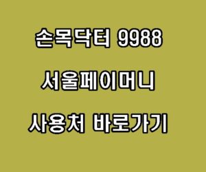 손목닥터9988 서울페이머니 사용처 신청방법 바로가기