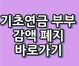 기초연금 부부 감액 폐지 시행 바로가기