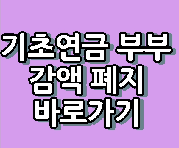기초연금 부부 감액 폐지 시행 바로가기