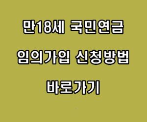 만18세 국민연금 임의가입 신청방법 바로가기
