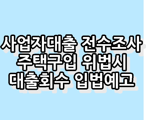 사업자대출 전수조사 주택구입 위법시 대출회수 입법예고	