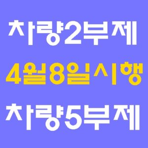 차량2부제 요일공공기관 공영주차장 5부제 시행