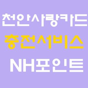 천안사랑카드 앱 NH포인트 충전 가이드