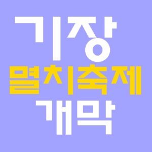 기장멸치축제 24일 개막